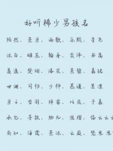 领养猴年男宝宝起名 猴年双胞胎男孩名字大全