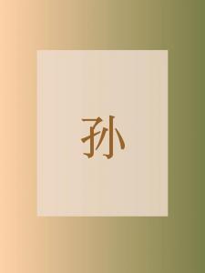 兔年宝宝起名孙姓男孩 孙姓满分独特好听的男孩名字