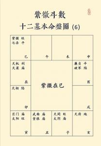 紫微命盘夫妻宫飞化到各宫 夫妻宫主星怎么查