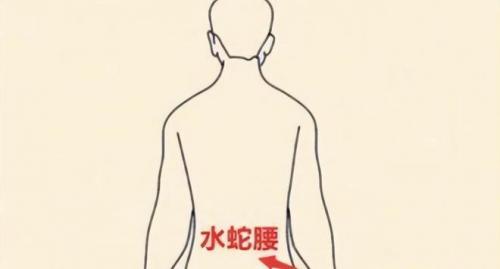 算命水蛇腰 水蛇腰的顺口溜