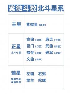 八字命理和紫薇斗数的区别 图解紫微斗数入门全书