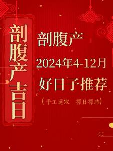 徐文兵讲剖腹产生辰八字 字里藏医徐文兵完整版