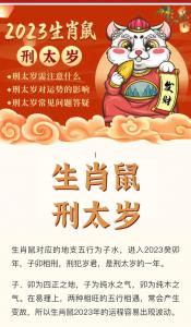 今年属鼠的犯太岁怎么化解 太岁鼠是什么意思?