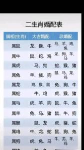鸡和狗是不是八字不合 狗和鸡的视频