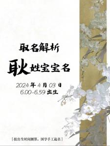 耿兔宝宝取名大全男孩 文雅兔宝宝取名