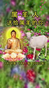 1991年属羊2019年运势及运程 1991羊女结局是什么意思?