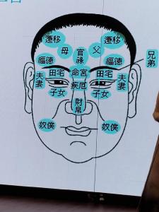 观相断吉凶 观相大结局是什么