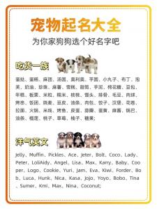 狗宝宝起名宜用字带 男子给狗起名