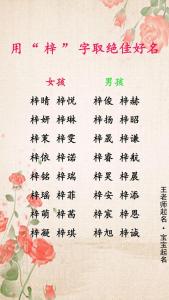 猪宝宝女孩梓字起名 2024年龙年用梓起名男孩