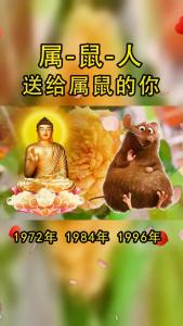 72属鼠的今年财运怎么样 属鼠2025年佩戴饰物是什么意思?