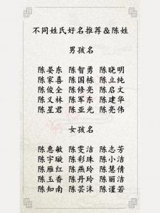 陈姓兔宝宝男孩起名大全 陈姓兔宝宝免费取名大全男孩