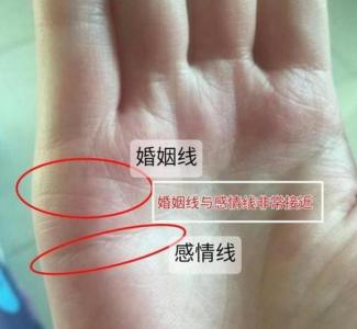 算命测婚姻实例 91年羊女今年的事业和婚姻算命