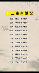 属虎的人和什么属相克 属虎女配偶最佳属相是什么意思?