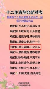 数羊和属鼠的婚姻 属羊的和属鼠的婚姻怎么破解是什么意思?