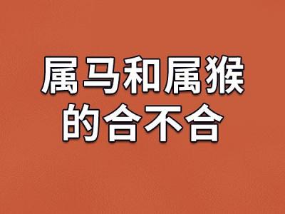 属猴和属马婚姻2020年 属马和属猴的婚姻能走一辈子吗是什么意思?