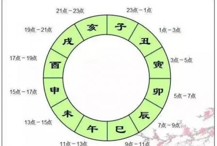 猪女生在巳时吉凶 乙巳年巳时是2025年几月