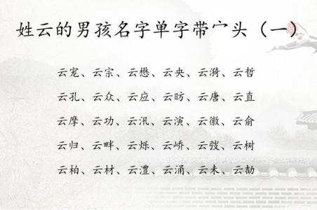 云姓氏虎宝宝男孩起名字 2024龙男宝取名书
