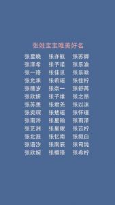 起名姓张小名男孩虎宝宝 2024龙男宝取名书