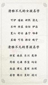 免费男宝宝起名测试 公司免费起名免费测名
