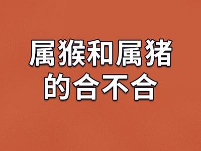 属猪的和属猴的性格是不是合不来 妈妈属猴女儿属猪怎么化解是什么意思?