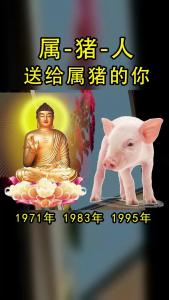 女属猪71年的婚姻运势 71年属猪女命的婚姻是什么意思?