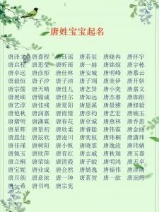 姓唐鸡年宝宝起名大全 刘和唐字起名大全