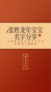 张姓起名男宝宝 张姓起名100分的名字