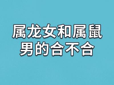 男属龙和女属鼠的婚姻 爸爸属鼠女儿属龙怎么样是什么意思?