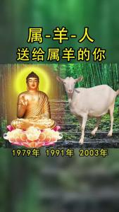 属羊男人那年能发财 2003年属羊男孩是什么意思?