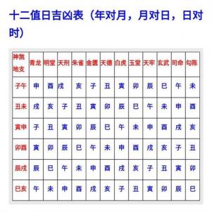 壬寅乙巳壬戌出生时辰吉凶 壬子日乙巳时生人命运