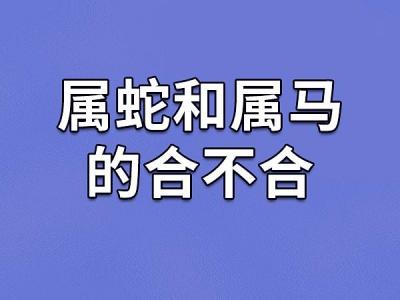 属蛇和属马得婚姻和不 属蛇男找对象找属马的最好是什么意思?
