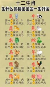 属鼠2025后半年财运方位 2025年属鼠财运好吗是什么意思?