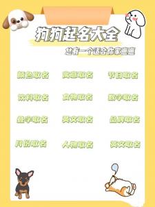 农历七月出生的狗宝宝起名 七月份小男孩起名